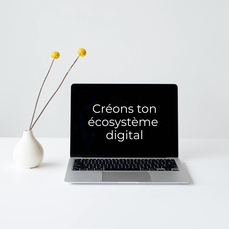 accompagnement digital pour entrepreneure en suisse, creation d'un écosystème pour son business