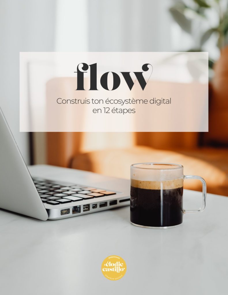 guide gratuit pour créer ton ecosystème digital : Flow