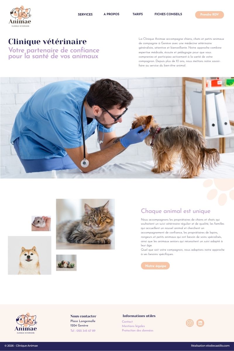 exemple simplicity - modele veterinaire